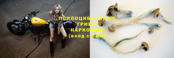 молекула духа Краснотурьинск