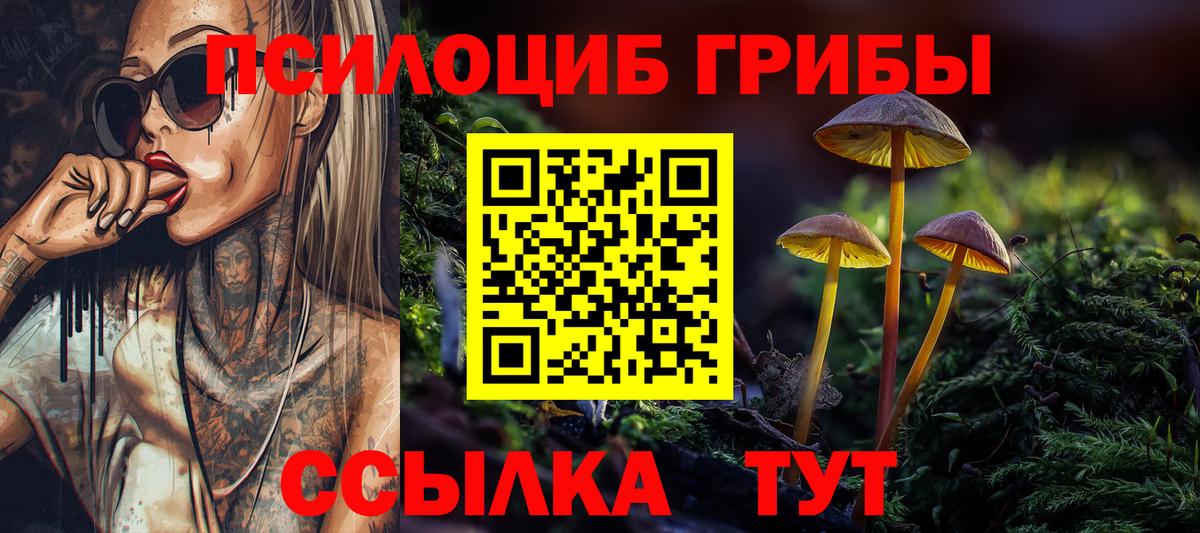 Галлюциногенные грибы Magic Shrooms  Вход с VPN  купить наркотик  Тейково  Псилоцибиновые грибы мицелий 